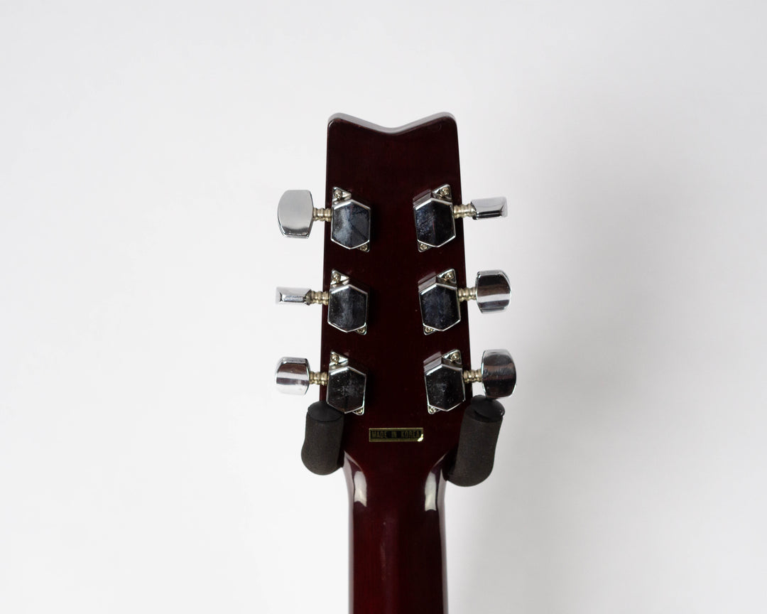 Washburn D-10N 1990 Natural