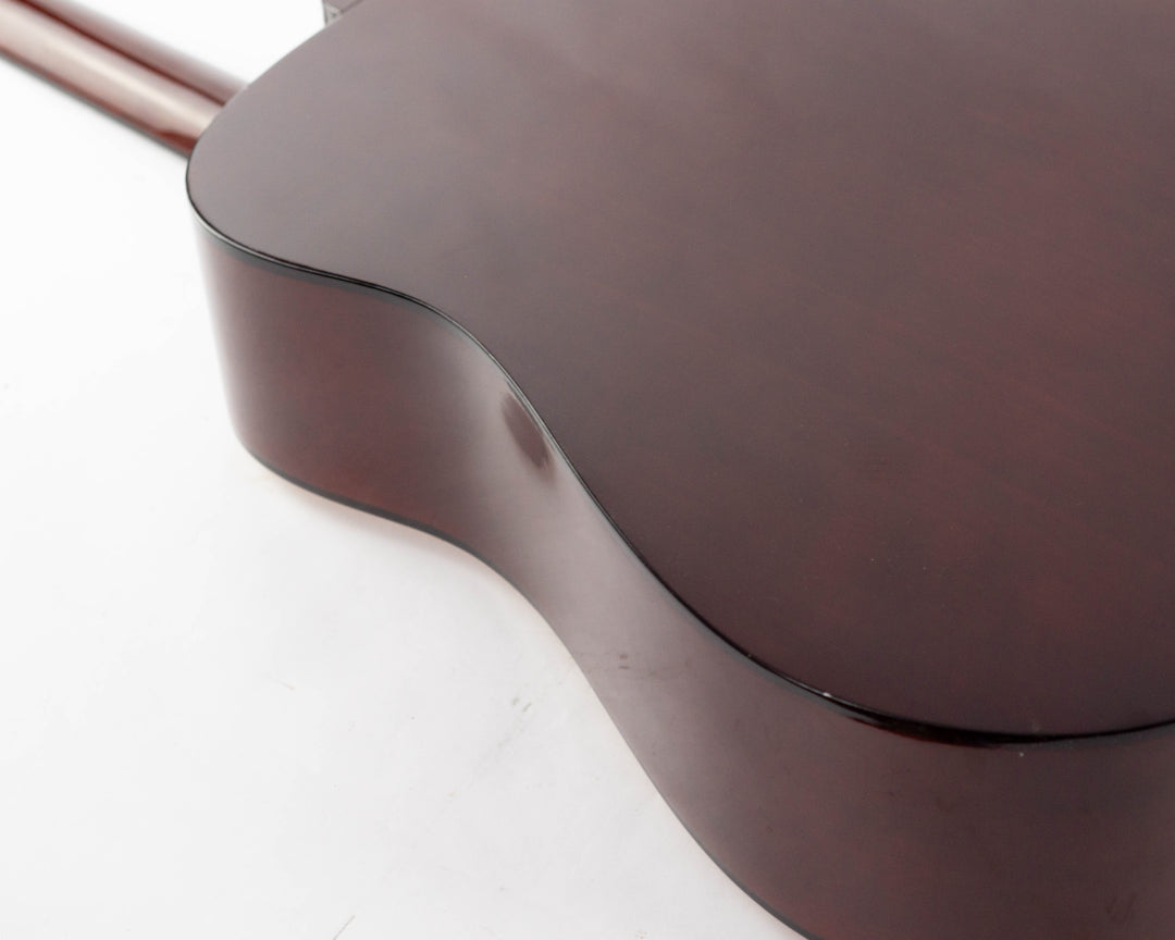 Washburn D-10N 1990 Natural