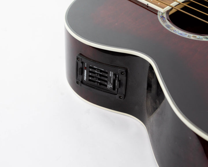 Michael Kelly Dragonfly MKDF4FLTBC Fretless Acoustic Bass 2013 Trans Black Cherry