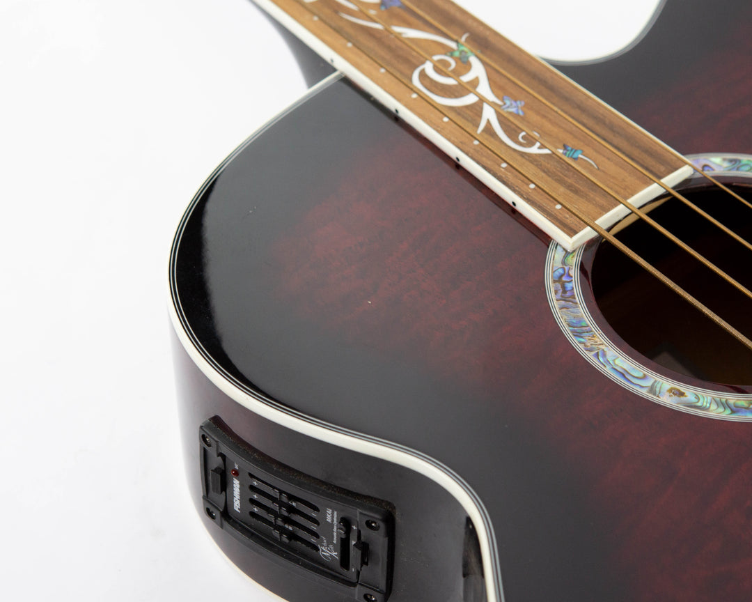 Michael Kelly Dragonfly MKDF4FLTBC Fretless Acoustic Bass 2013 Trans Black Cherry