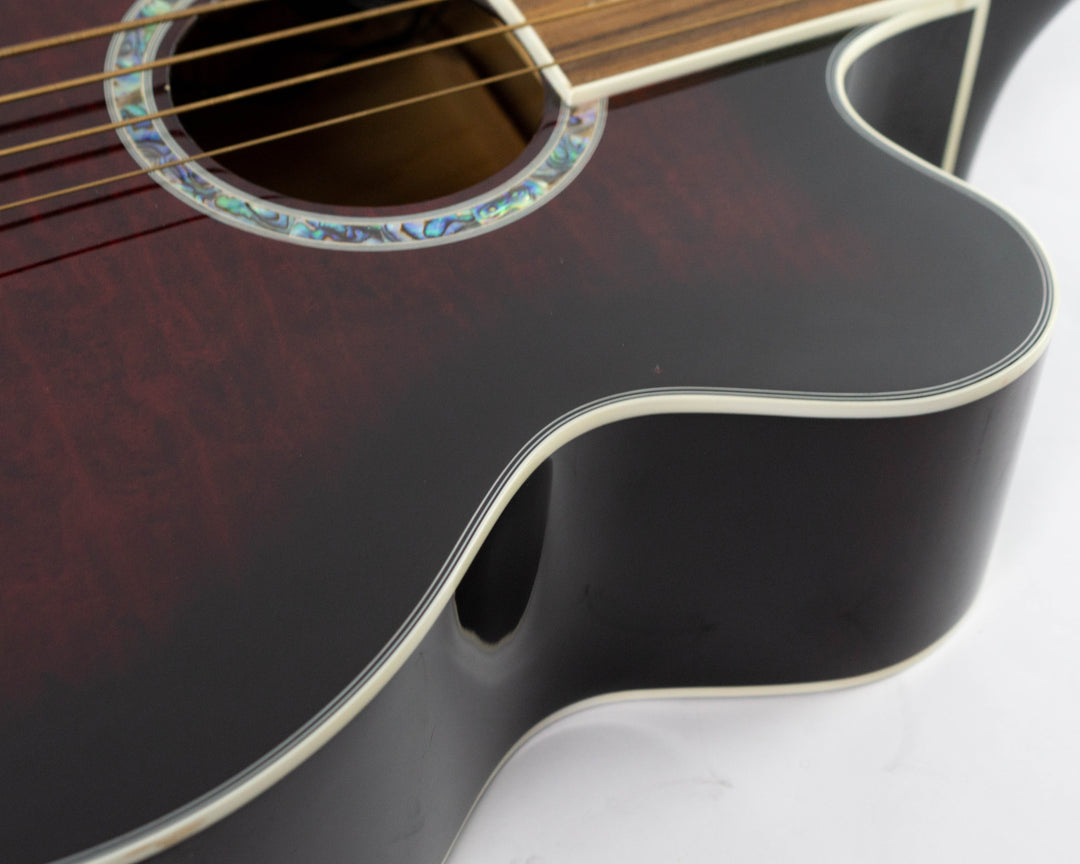 Michael Kelly Dragonfly MKDF4FLTBC Fretless Acoustic Bass 2013 Trans Black Cherry