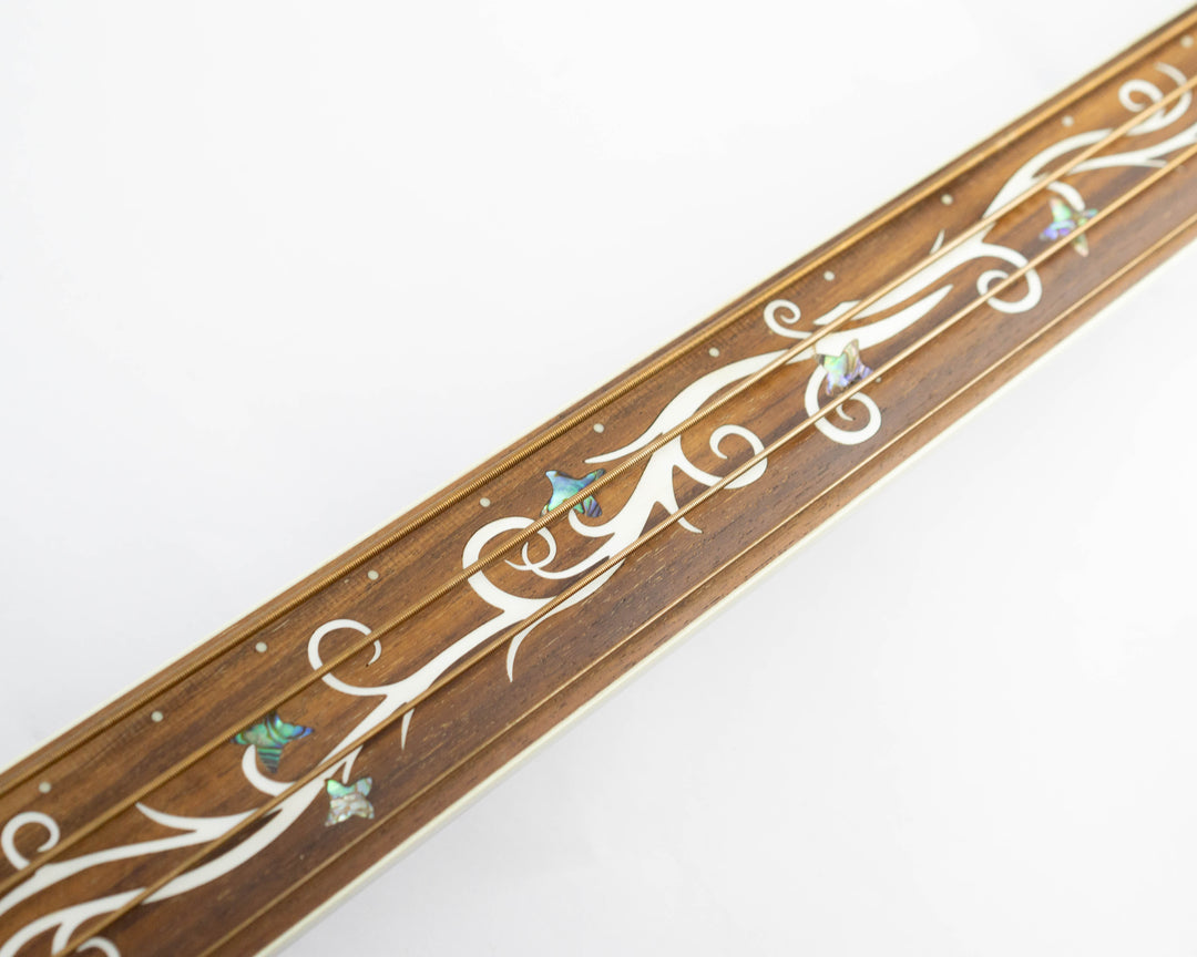 Michael Kelly Dragonfly MKDF4FLTBC Fretless Acoustic Bass 2013 Trans Black Cherry