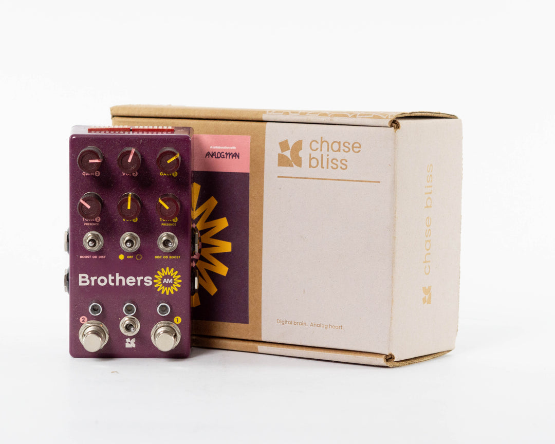 Chase Bliss Audio Brothers AM