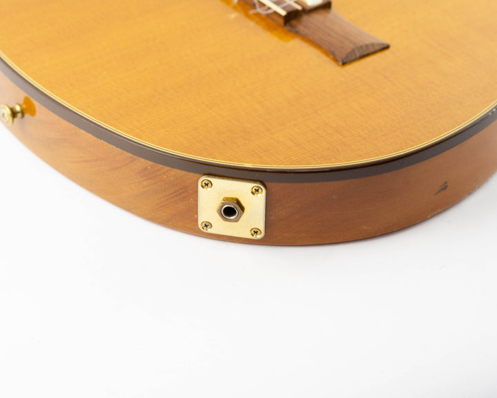 Gibson Chet Atkins CE 2004 Natural