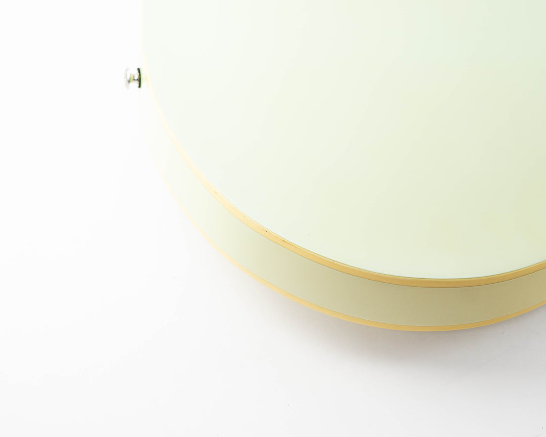 Aria Pro II TA40 1984 Smoke Green