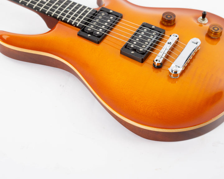 Patrick Eggle Berlin Pro 2000 Violin Amber