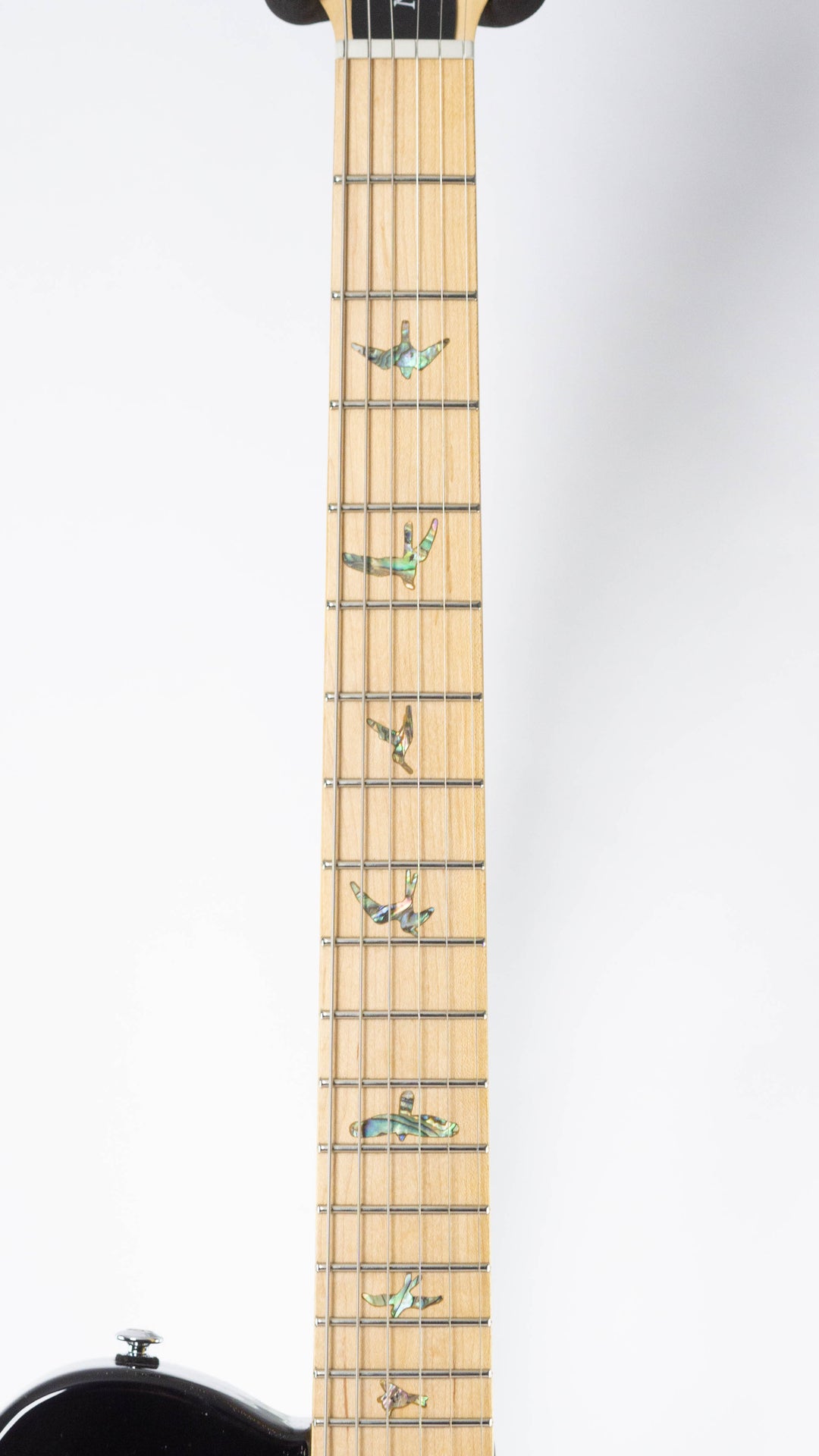 PRS SE NF 53 2025 Black Doghair