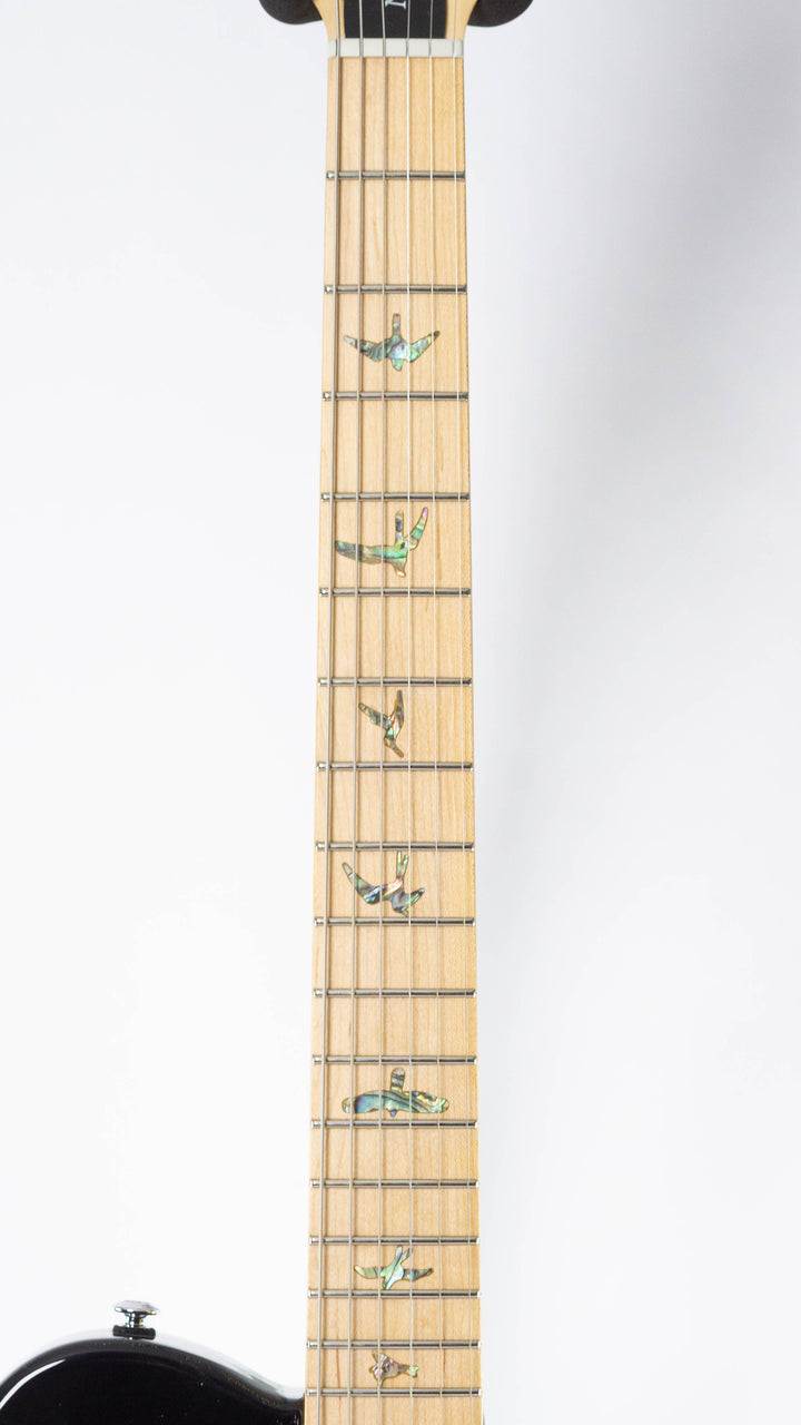 PRS SE NF 53 2025 Black Doghair