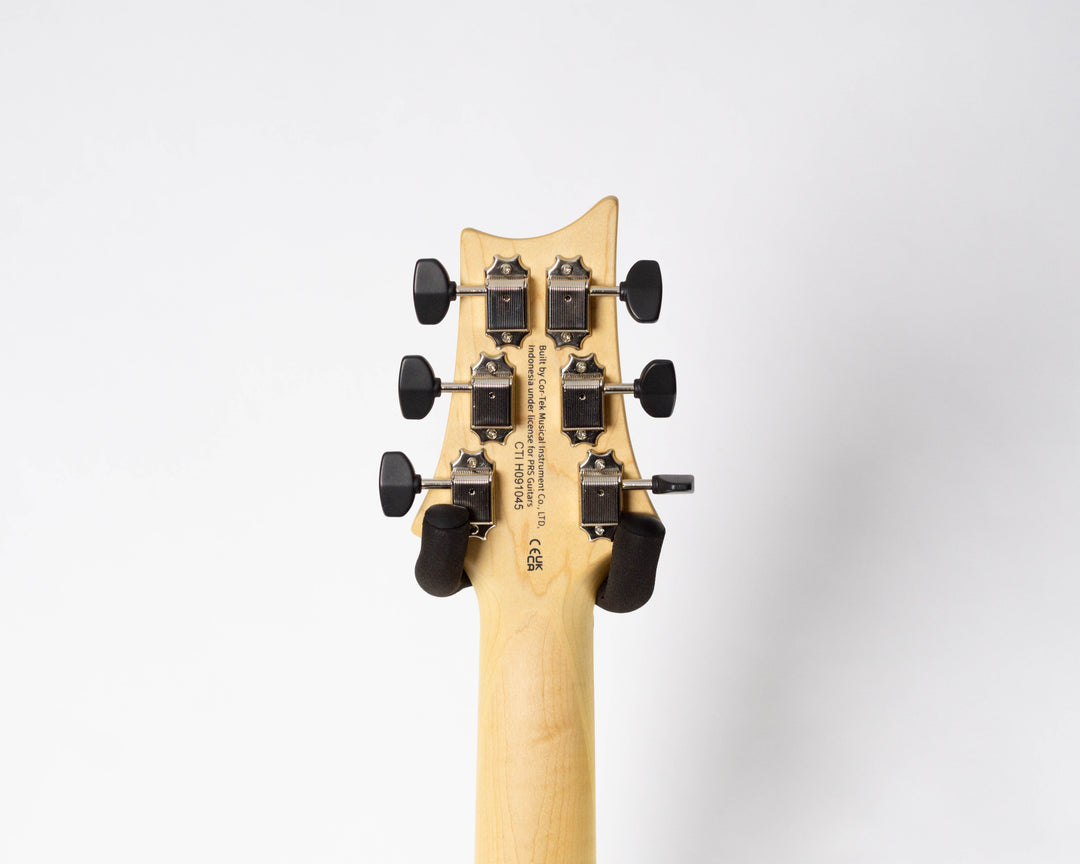 PRS SE NF 53 2025 Black Doghair