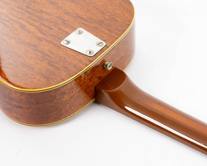 Eko Ranger Folk 1960's Natural